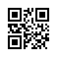 QR CODE 28