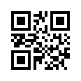 QR CODE 29