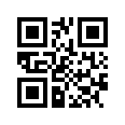 QR CODE 31