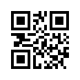 QR CODE 53