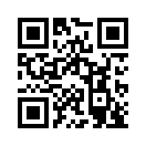 QR CODE 1333
