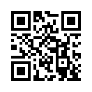 QR CODE 1336