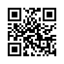 QR CODE 1393