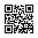 QR CODE 349