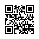 QR CODE 516