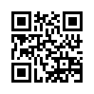 QR CODE 919