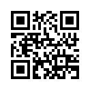 QR CODE 990