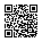 QR CODE 110