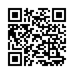 QR CODE 21