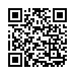 QR CODE 228