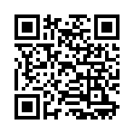 QR CODE 33