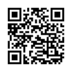 QR CODE 334
