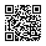 QR CODE 382