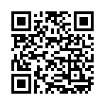 QR CODE 383