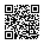QR CODE 386