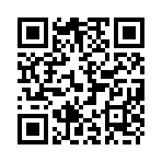 QR CODE 402