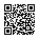QR CODE 411