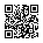 QR CODE 21