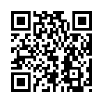 QR CODE 26