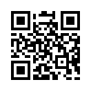 QR CODE 31