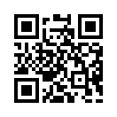 QR CODE 53