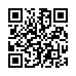 QR CODE 96