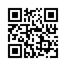 QR CODE 1333