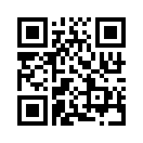 QR CODE 402