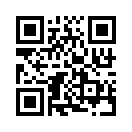 QR CODE 553