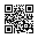 QR CODE 924