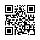 QR CODE 925