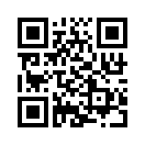 QR CODE 991