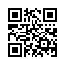 QR CODE 29