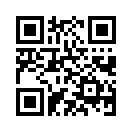 QR CODE 31
