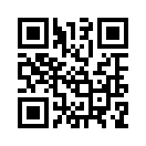 QR CODE 31