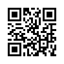 QR CODE 317