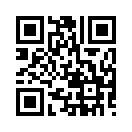 QR CODE 336