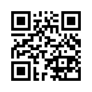 QR CODE 31