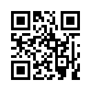 QR CODE 42