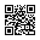 QR CODE 53