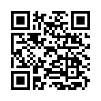 QR CODE 31