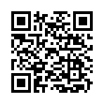QR CODE 63