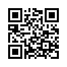 QR CODE 133