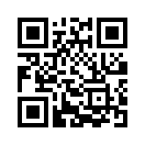 QR CODE 219