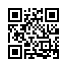QR CODE 246