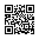 QR CODE 254