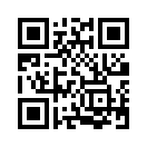 QR CODE 255