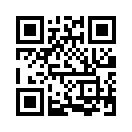 QR CODE 262