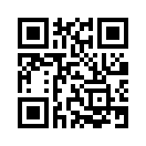 QR CODE 29