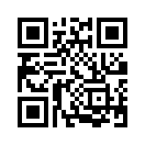 QR CODE 293